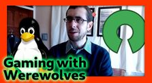 Rambling thoughts on Proton vs porting (and FOSS games) by Gaming with Werewolves